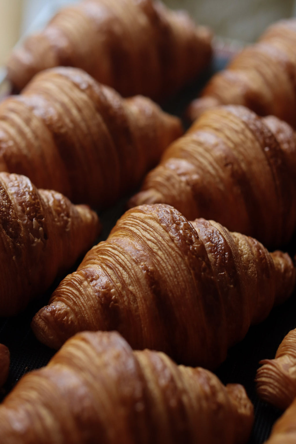 Croissant Full Hand-Rolled Class (JB)