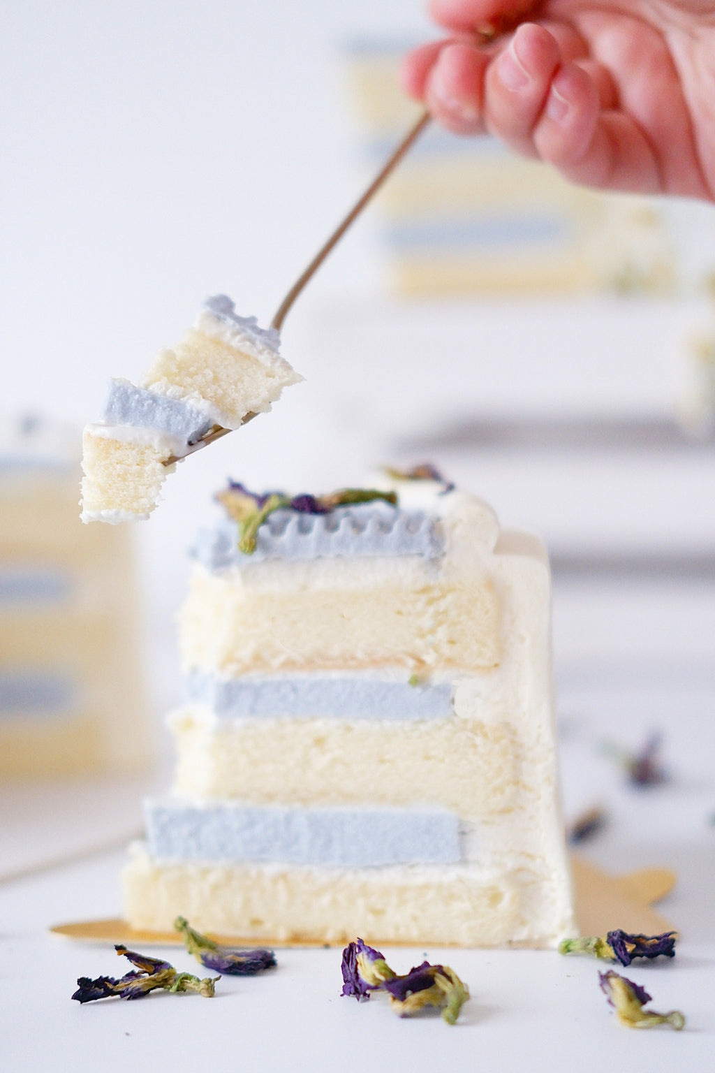 3 Days Whipped Cream Cake Master Cake Class (JB)