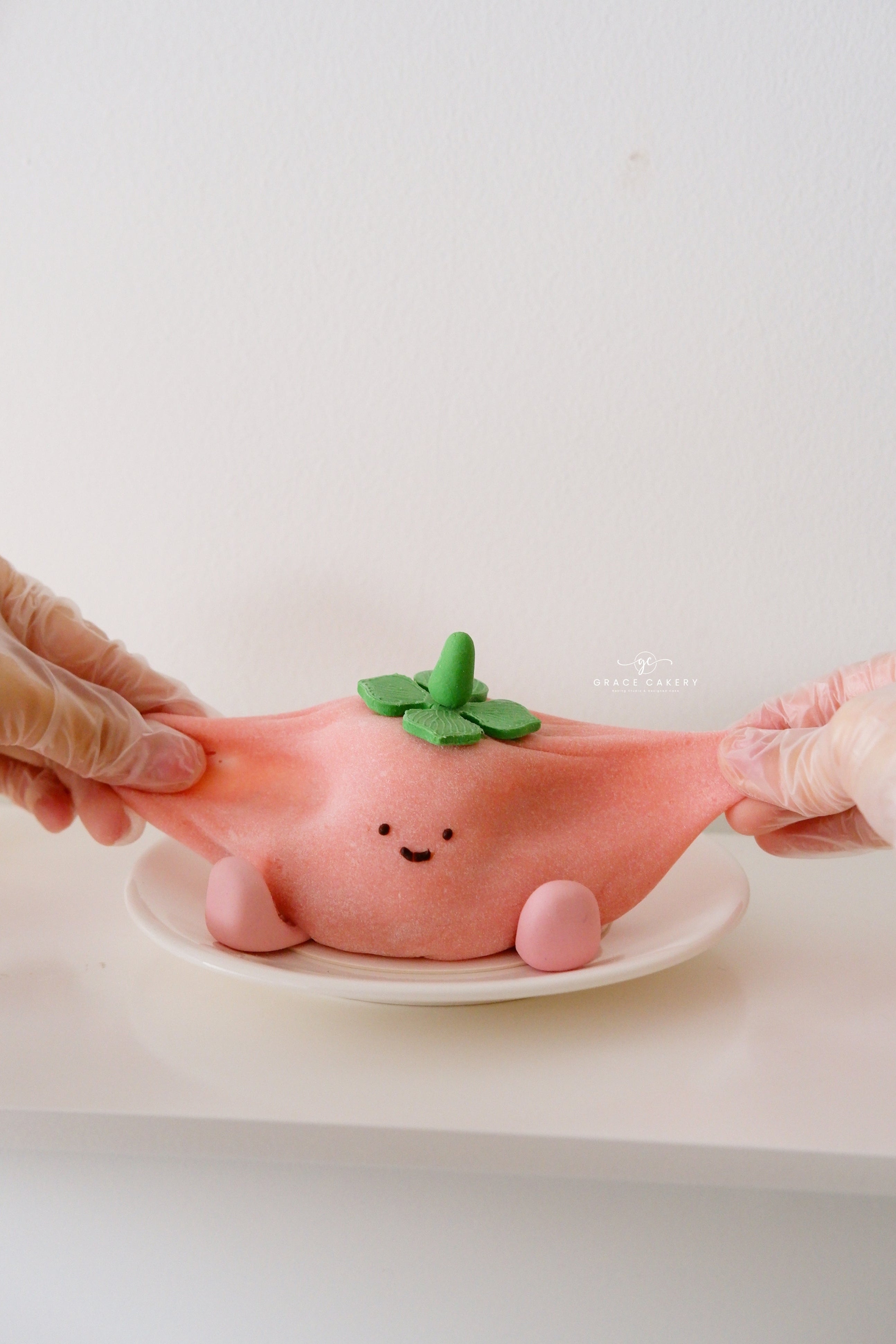 4 In 1 Jellycat Mochi Cake Class (JB)