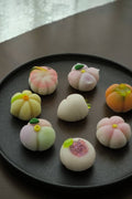 Wagashi Uiro Class (JB)