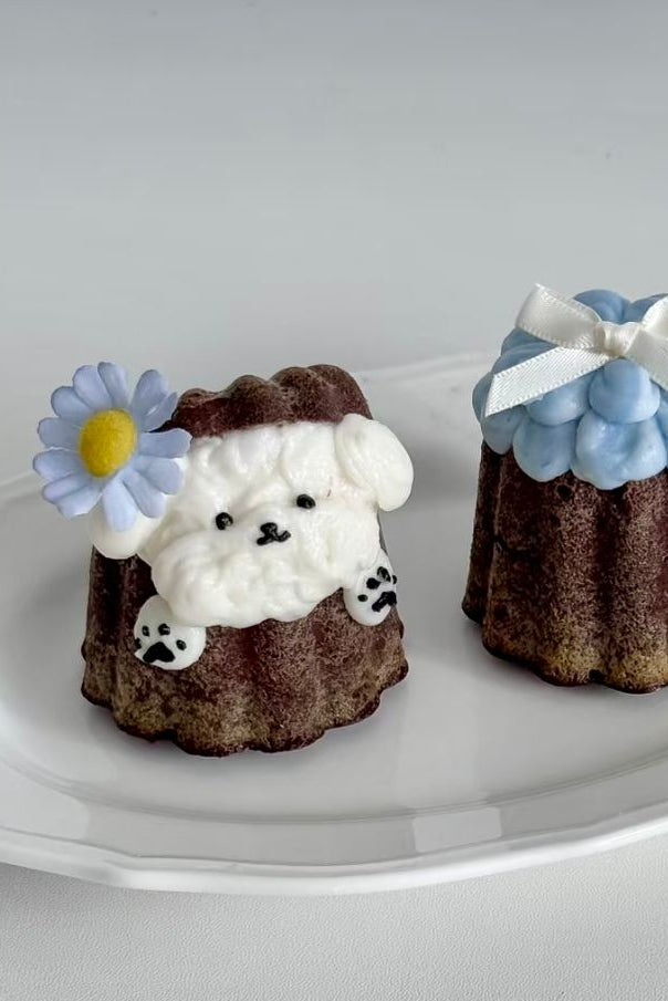 Nutritious Pet Dessert Class (JB)