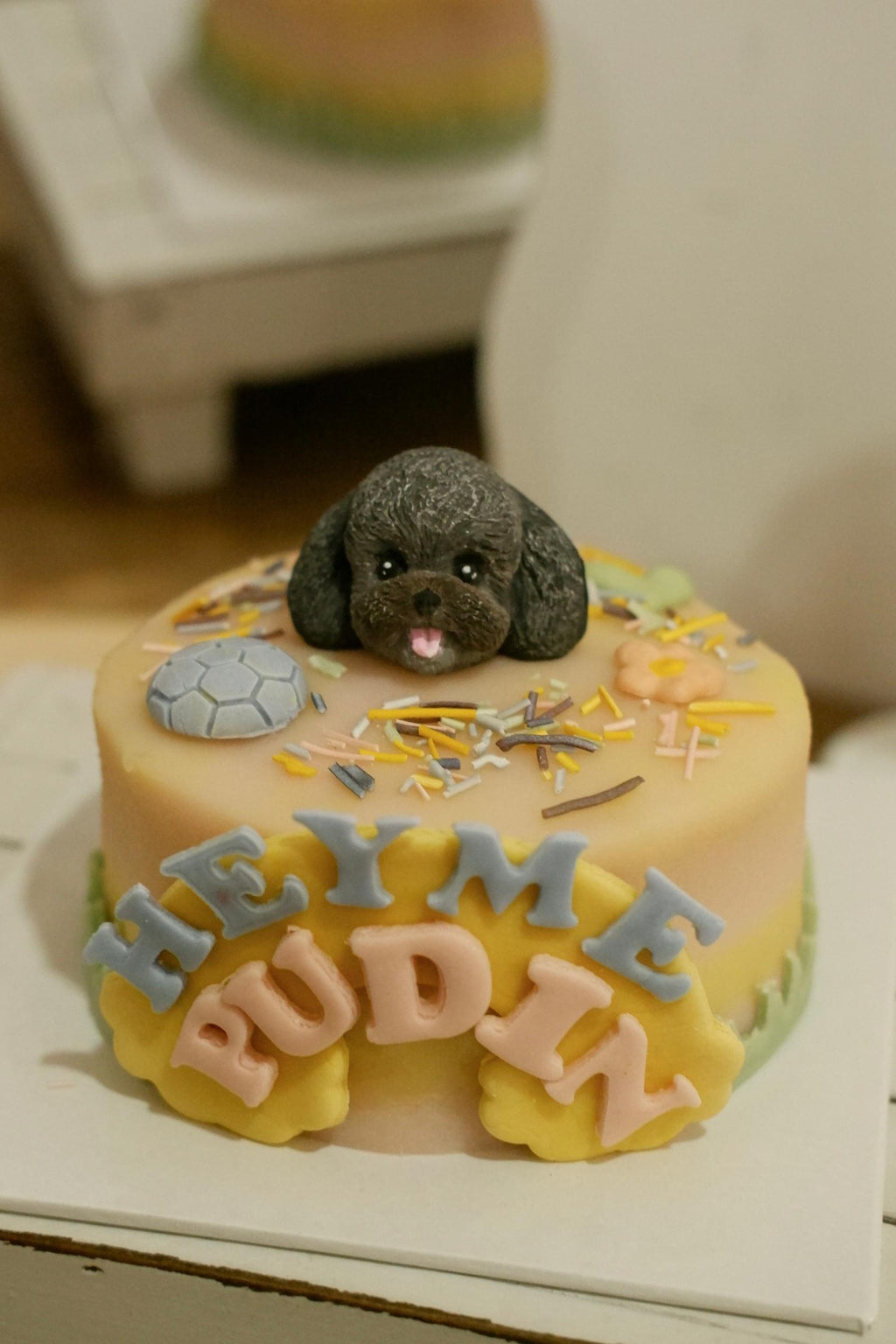 3D Avatar Pet Cake Class (JB)
