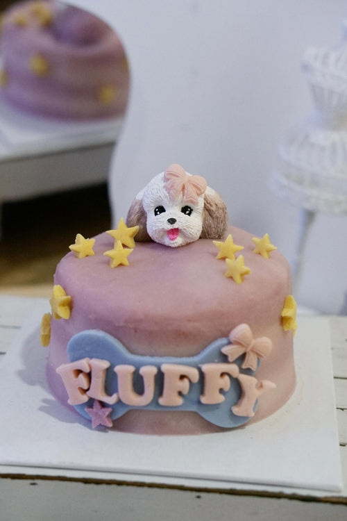 3D Avatar Pet Cake Class (JB)