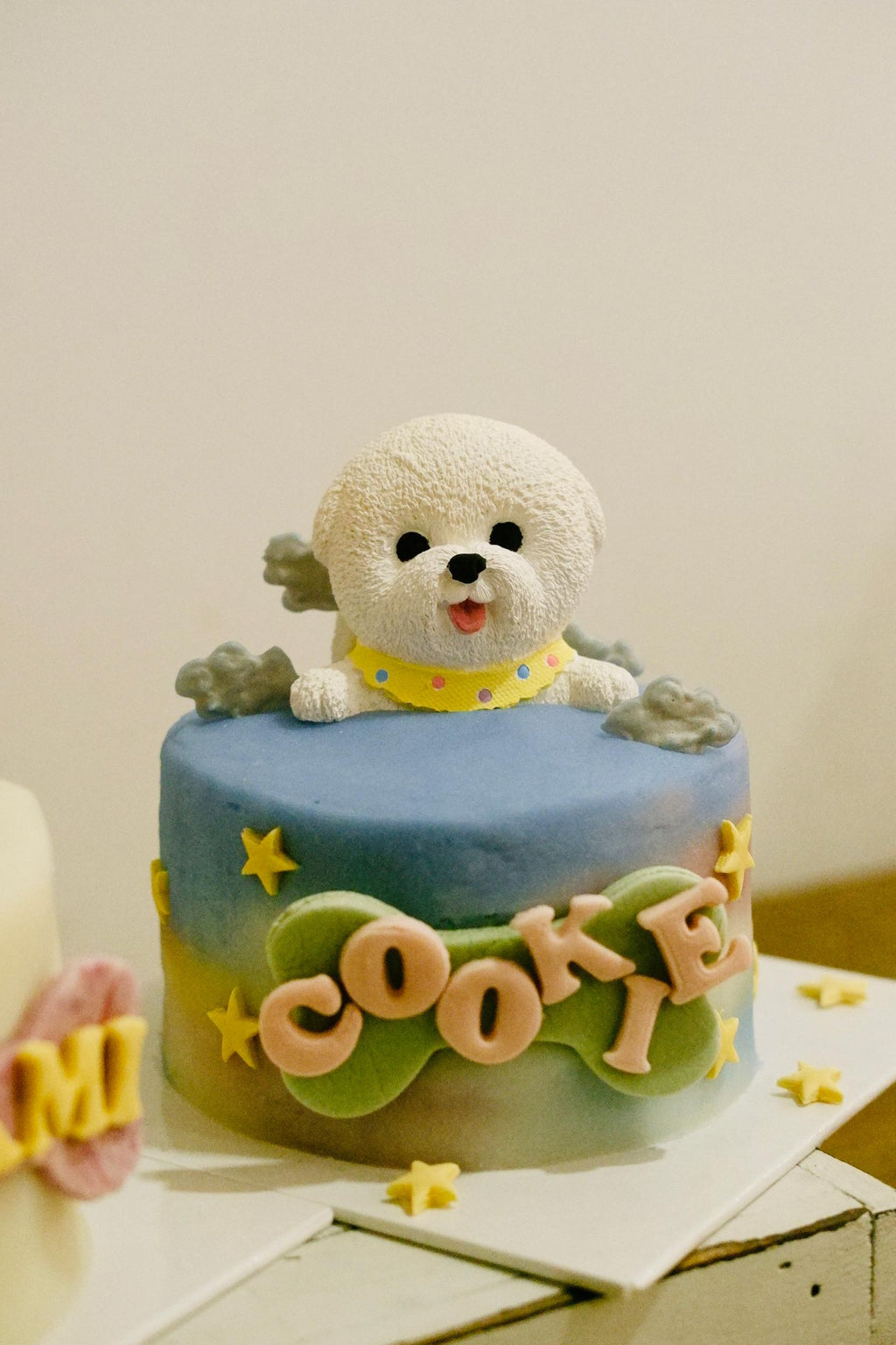 3D Avatar Pet Cake Class (JB)