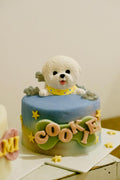 3D Avatar Pet Cake Class (JB)