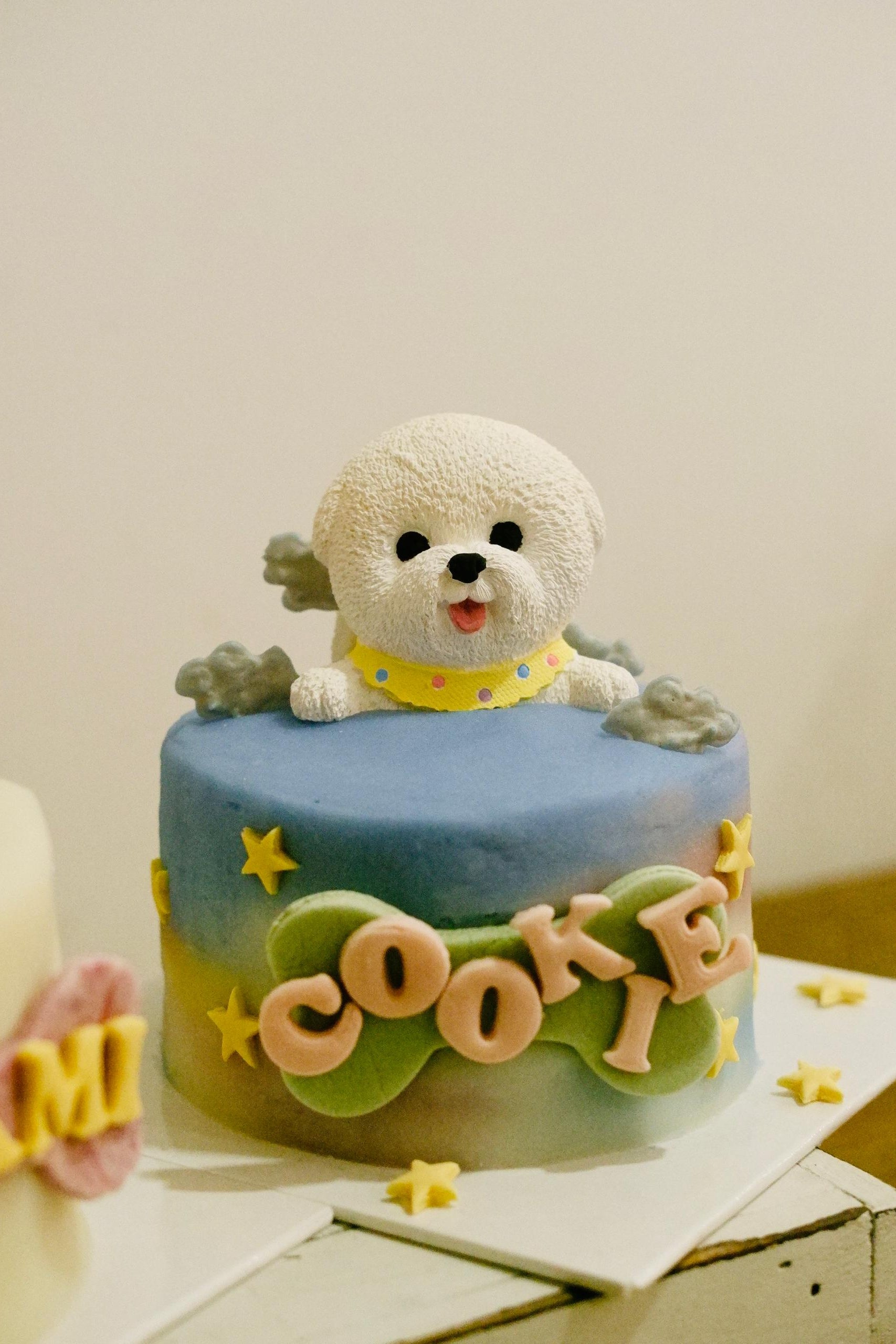 3D Avatar Pet Cake Class (JB)